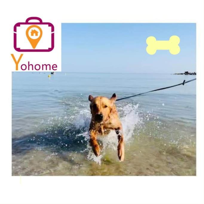 Casale Passalacqua Pesaro By Yohome La Torraccia Εξωτερικό φωτογραφία